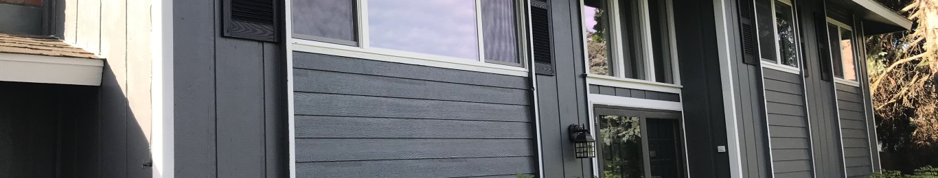 PaintingWindows1